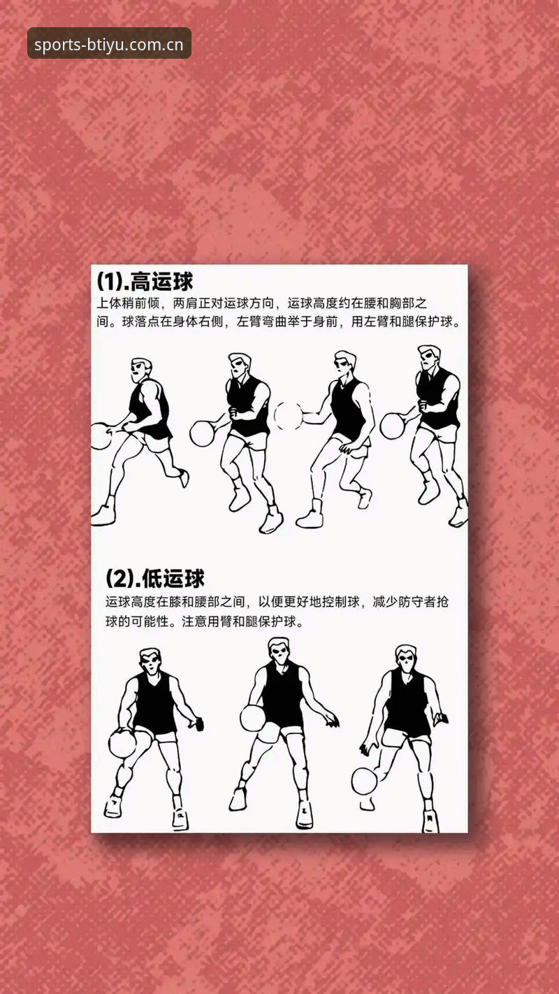 b体育手机版教程：你真的掌握了全部操作技巧吗？
